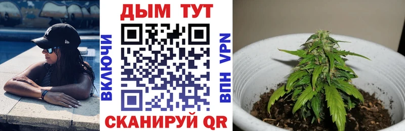 Купить закладки  Россошь  Шишки марихуана Amnesia 